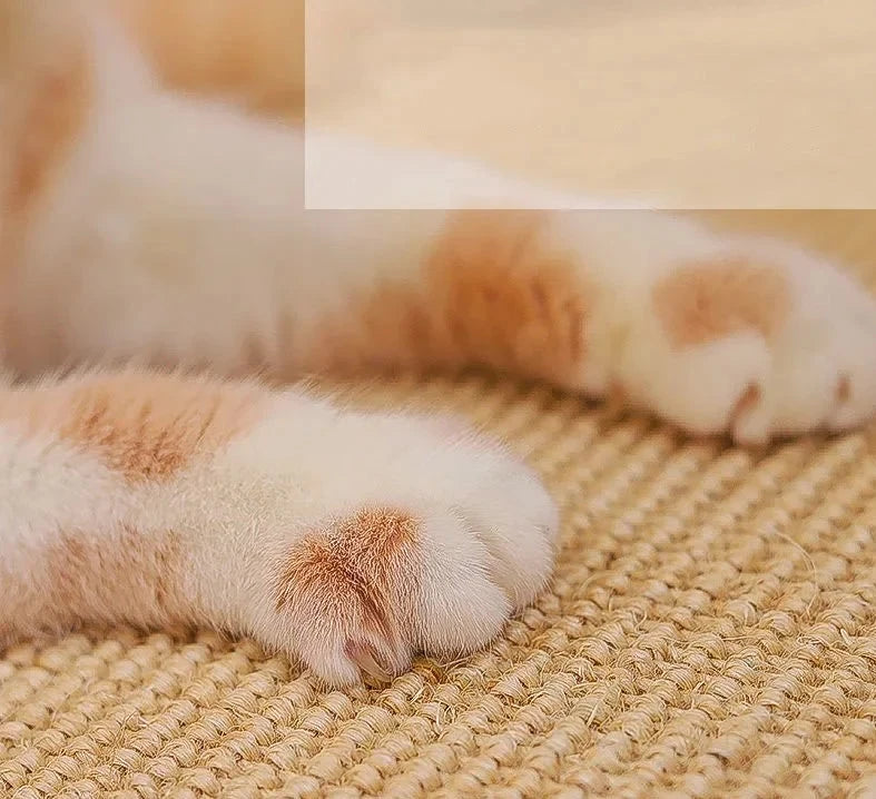Tapis Grattoir en Sisal pour Chat
