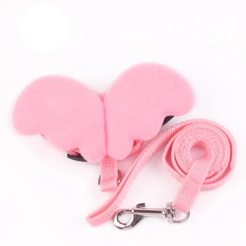 48526699659602|48526699987282|48526700020050