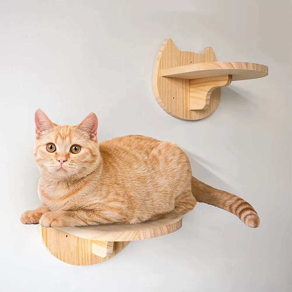 Etagère murale pour chat