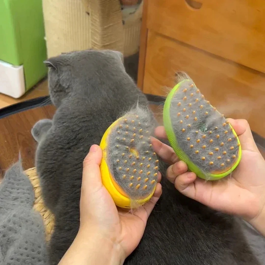 Brosse de Toilettage Innovante à vapeur pour Chats