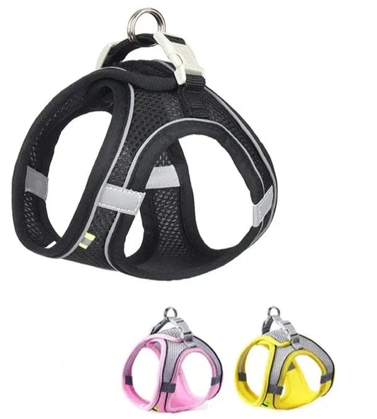 Harnais avec Laisse pour Chat