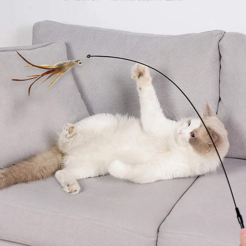 Jouet "attrape oiseau" flexible pour chat