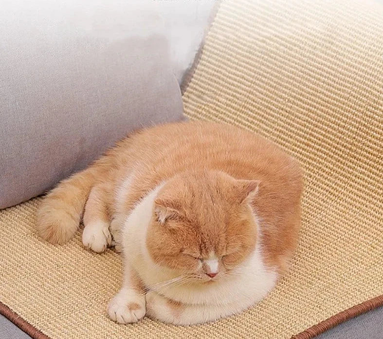 Tapis Grattoir en Sisal pour Chat