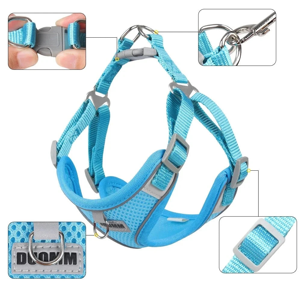 Ensemble Harnais et Laisse pour Chat