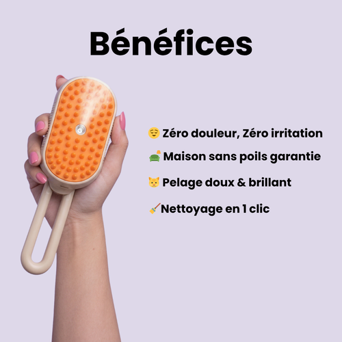 La SteamBrush™