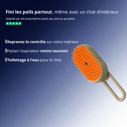Brosse à vapeur pour chat