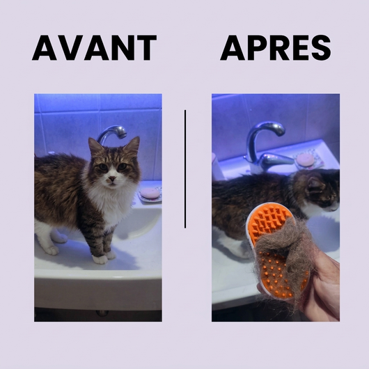 La SteamBrush™