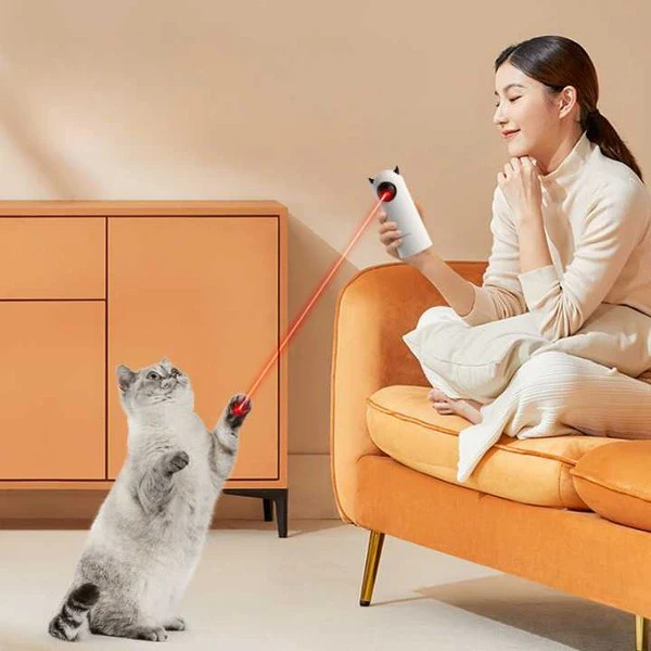 Jouet Laser Rotatif à LED pour Chat