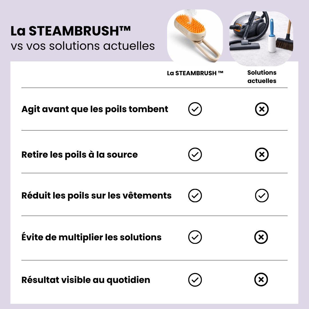 La SteamBrush™
