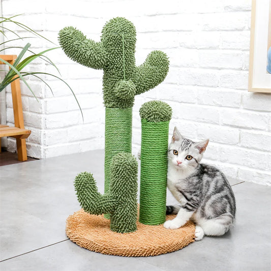 Arbre à Chat Cactus Griffoir avec Boule pour Chat