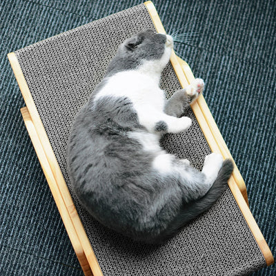 Lit-Griffoire pour Chat