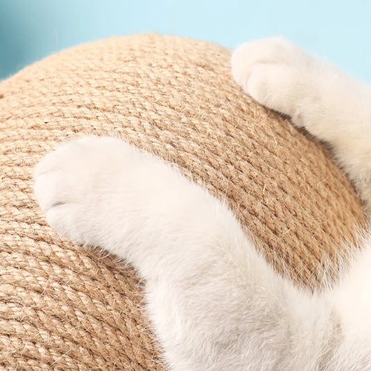 Griffoir Boule à Gratter pour Chat