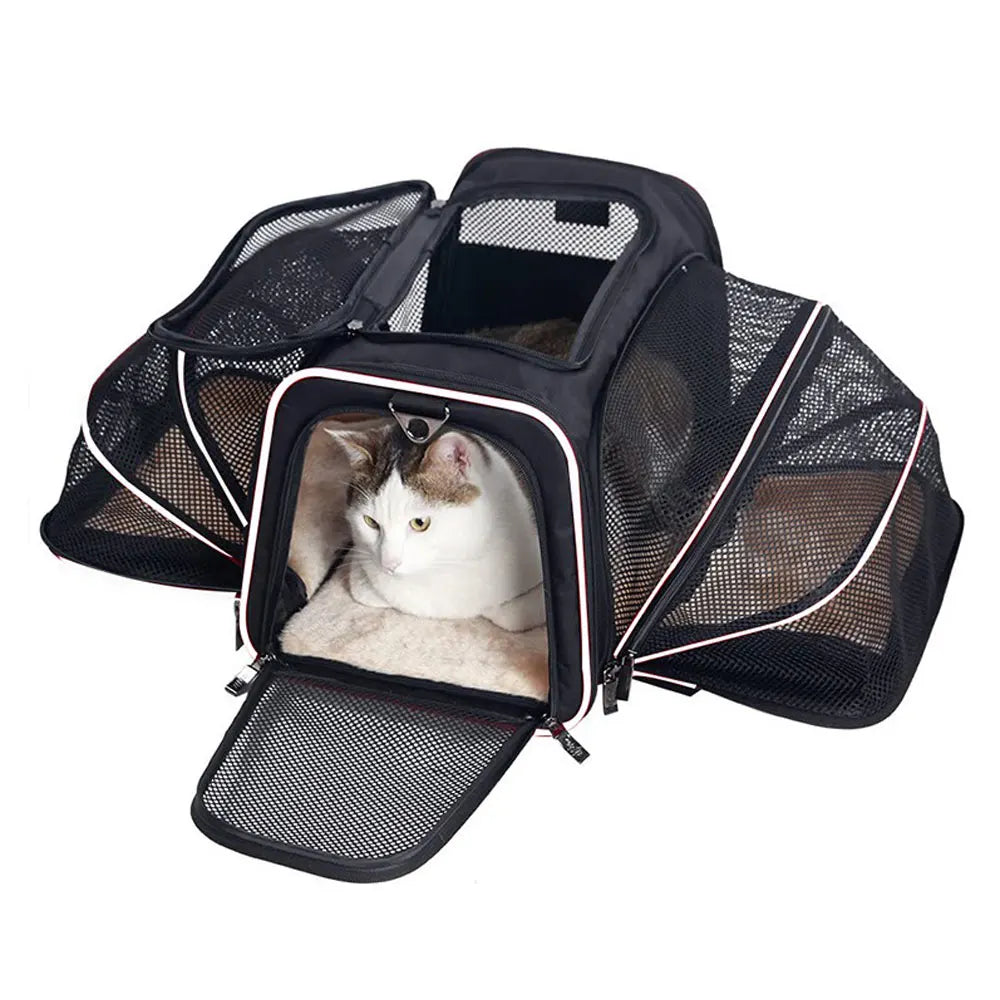 Sac de Transport Pliable et Respirant pour Chat