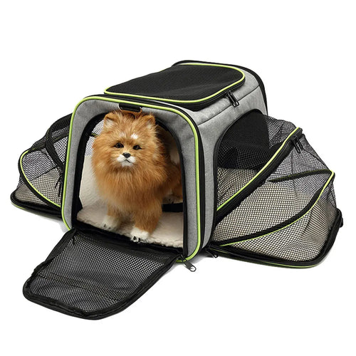 Sac de Transport Pliable et Respirant pour Chat