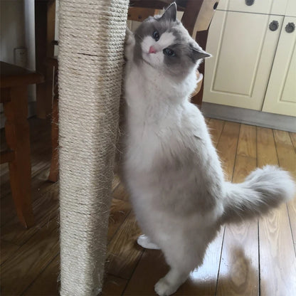 Corde de Sisal pour Arbre à Chat
