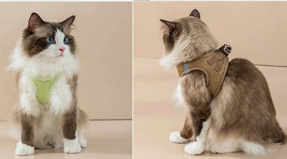 Harnais et Laisse pour une belle promenade