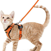 Harnais et Laisse de Marche pour Chat avec Gilet Réglable