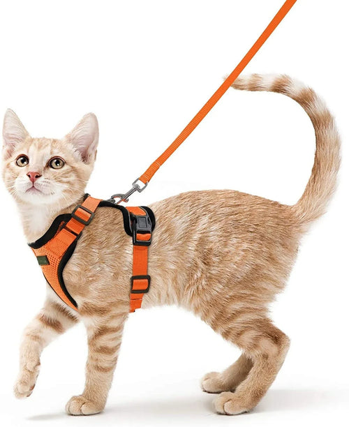Harnais et Laisse de Marche pour Chat avec Gilet Réglable