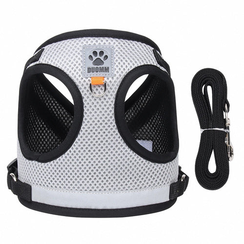 Harnais de Promenade Confortable pour Chat