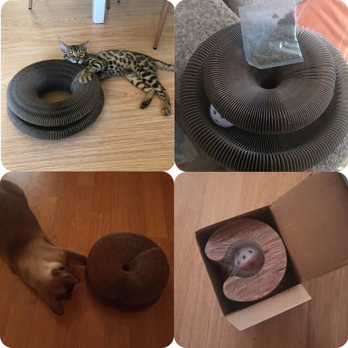 Griffoir Modulable pour Chats