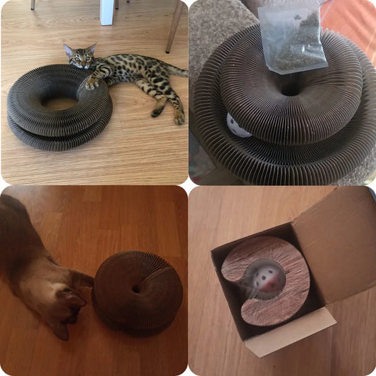 Griffoir Modulable pour Chats