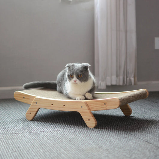 Lit-Griffoire pour Chat