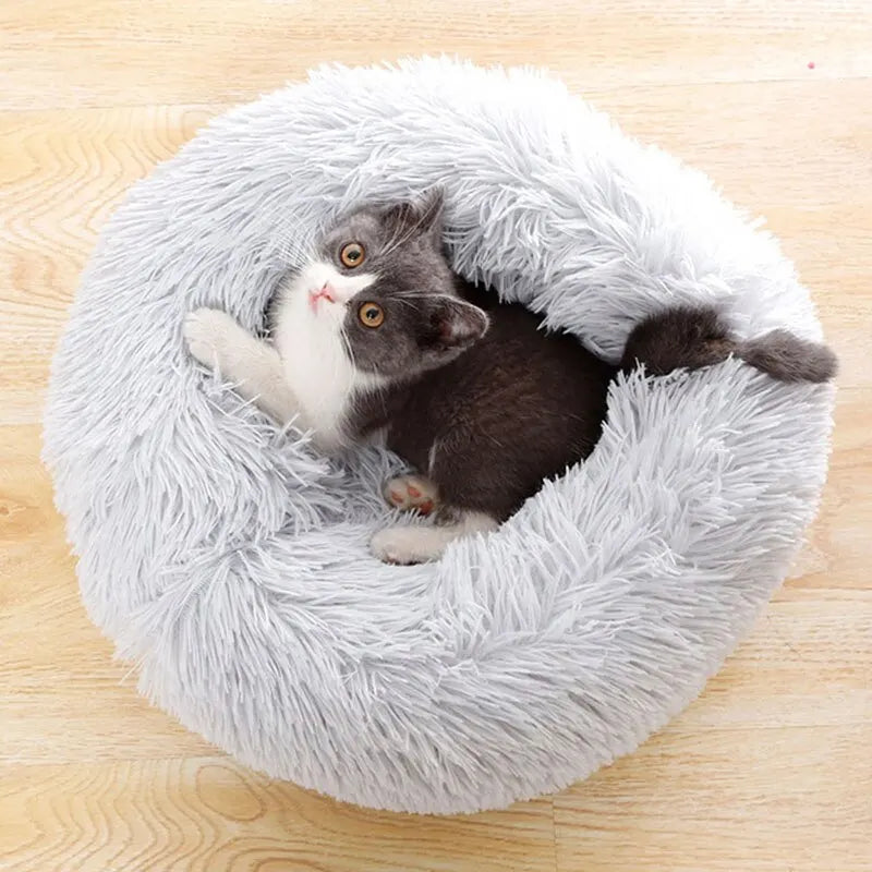 Coussin Douillet pour Chat