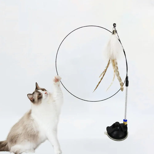 Jouet "attrape oiseau" flexible pour chat