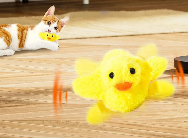 Canard en peluche pour Chat