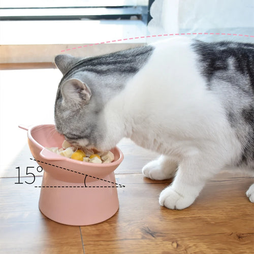 Bol Élégant en Céramique pour Chats