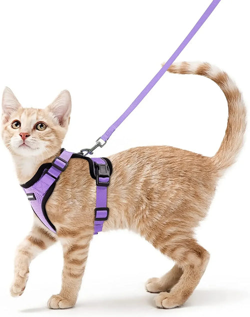 Harnais et Laisse de Marche pour Chat avec Gilet Réglable