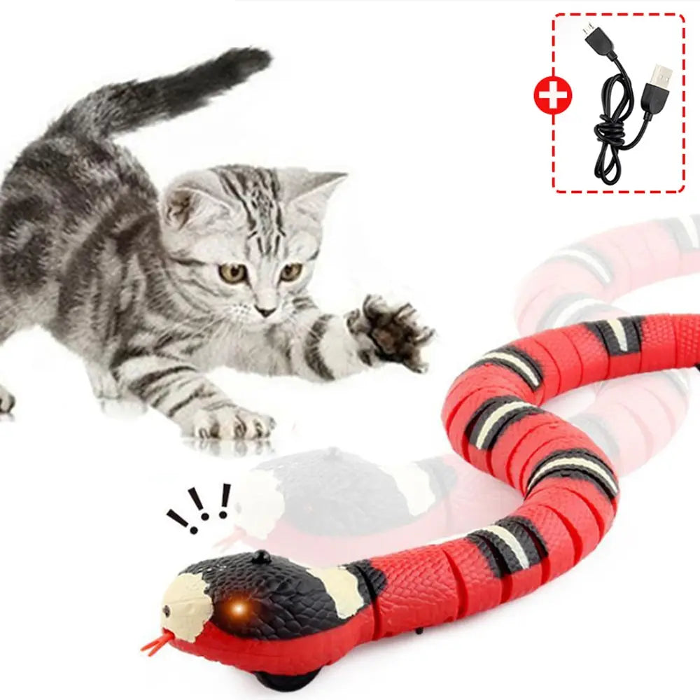 Smart Snake : jouet interactif