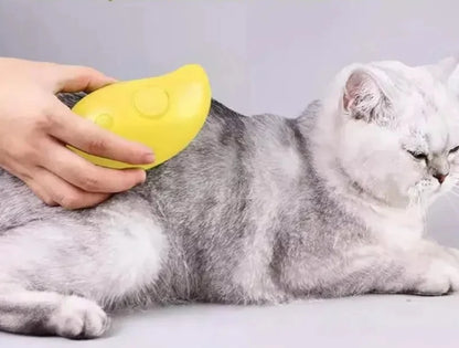 Brosse de Toilettage Innovante à vapeur pour Chats