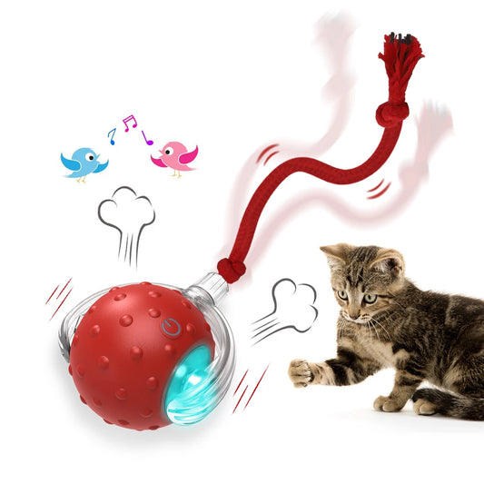 Balle Roulante Interactive pour Chat