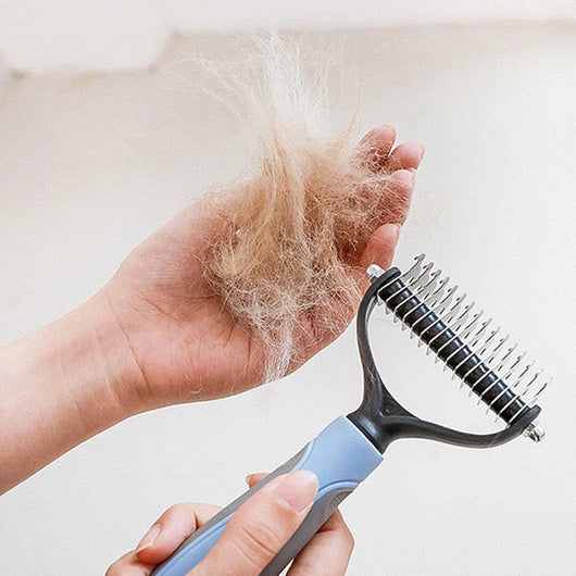Brosse Démêlante Professionnelle pour Chats à Poils Longs