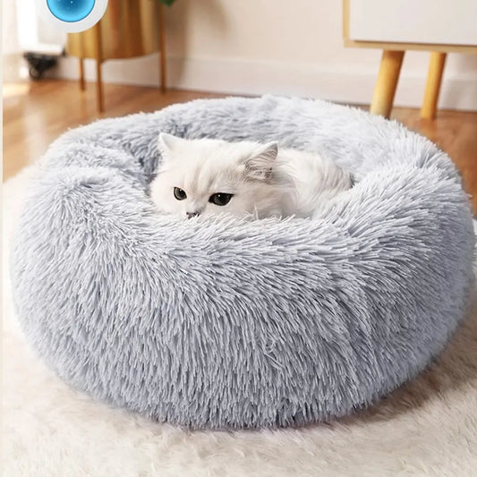 Coussin Douillet pour Chat