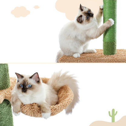 Arbre à Chat Cactus Élégant et Confortable