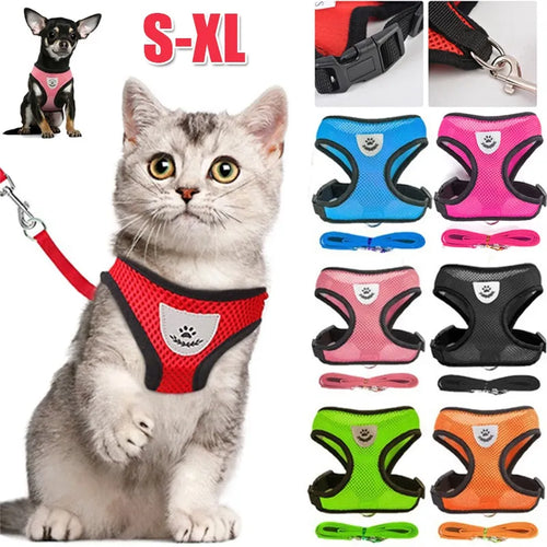 Harnais de Sécurité pour Chat : Explorez le Monde Ensemble en Toute Sérénité