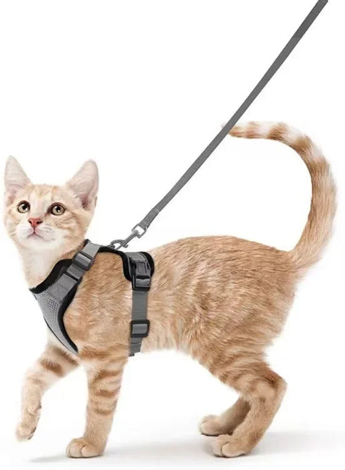 Harnais et Laisse de Marche pour Chat avec Gilet Réglable
