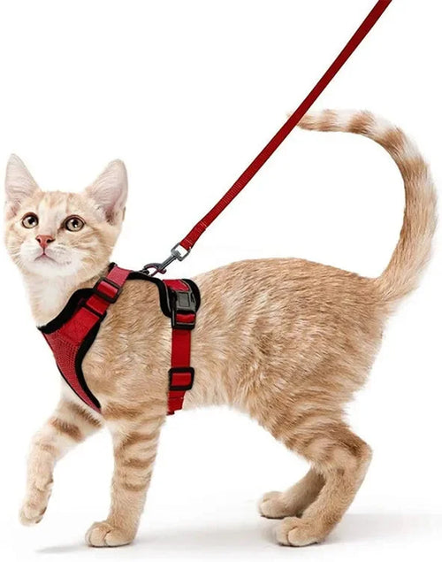 Harnais et Laisse de Marche pour Chat avec Gilet Réglable