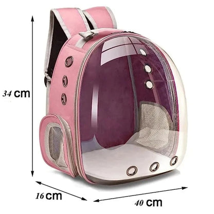 Hublot : Le Sac à Dos de Transport pour Chat