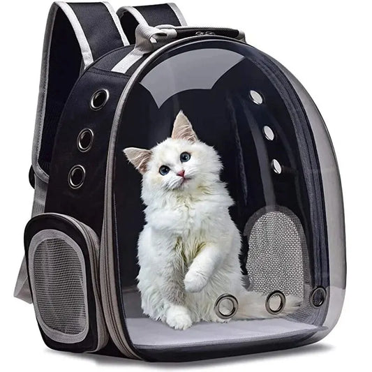 Hublot : Le Sac à Dos de Transport pour Chat