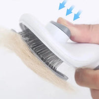Brosse Auto-nettoyante pour Chat