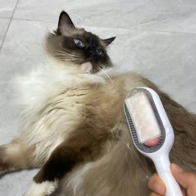 Brosse de toilettage à LINGETTES Petgravity™