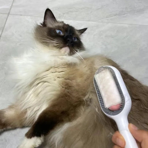 Brosse de toilettage à LINGETTES Petgravity™