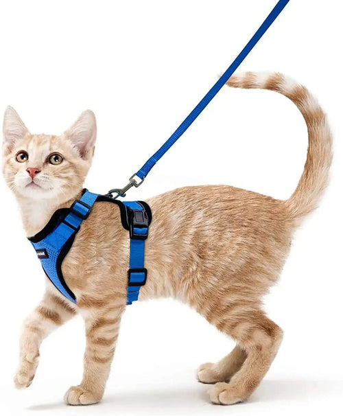 Harnais et Laisse de Marche pour Chat avec Gilet Réglable