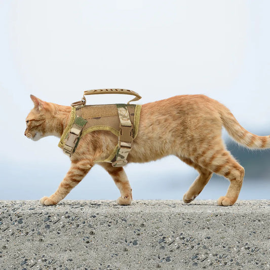 Harnais Militaire pour Chat avec Laisse Séparée