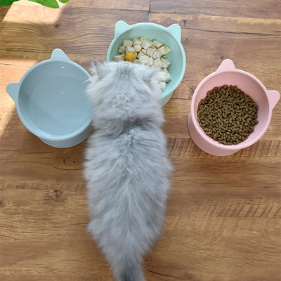 Bol Élégant en Céramique pour Chats