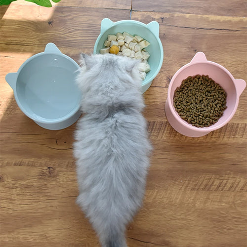 Bol Élégant en Céramique pour Chats