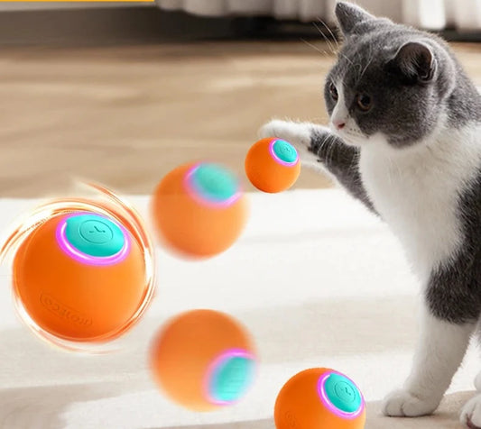 Balle Interactive Automatique pour Chat